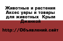 Животные и растения Аксесcуары и товары для животных. Крым,Джанкой